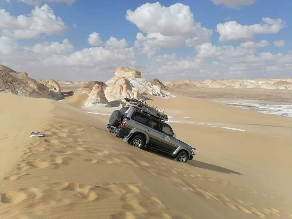 fb img 1769509962463.jpg