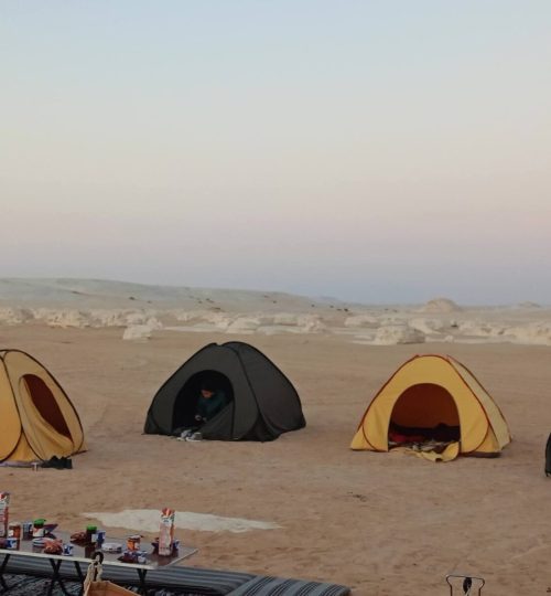 Projects fb img 1767958471781.jpg